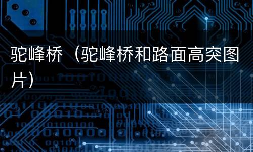 驼峰桥（驼峰桥和路面高突图片）