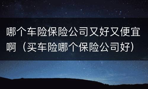 哪个车险保险公司又好又便宜啊（买车险哪个保险公司好）