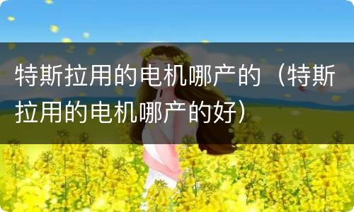 特斯拉用的电机哪产的（特斯拉用的电机哪产的好）
