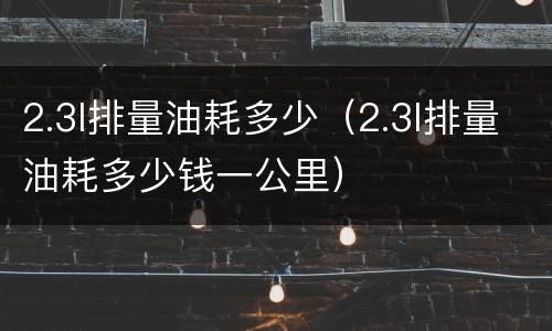 2.3l排量油耗多少（2.3l排量油耗多少钱一公里）