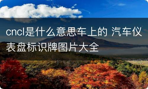 cncl是什么意思车上的 汽车仪表盘标识牌图片大全