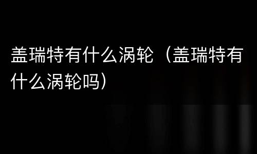 盖瑞特有什么涡轮（盖瑞特有什么涡轮吗）