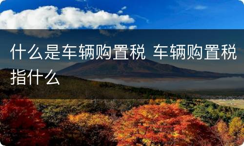 什么是车辆购置税 车辆购置税指什么