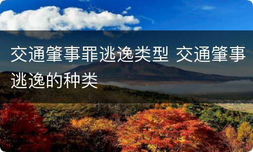 交通肇事罪逃逸类型 交通肇事逃逸的种类