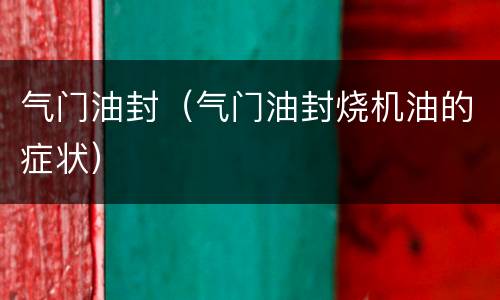 气门油封（气门油封烧机油的症状）