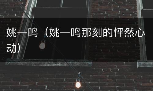 姚一鸣（姚一鸣那刻的怦然心动）