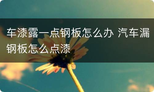 车漆露一点钢板怎么办 汽车漏钢板怎么点漆
