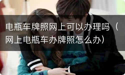 电瓶车牌照网上可以办理吗（网上电瓶车办牌照怎么办）