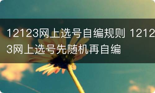 12123网上选号自编规则 12123网上选号先随机再自编