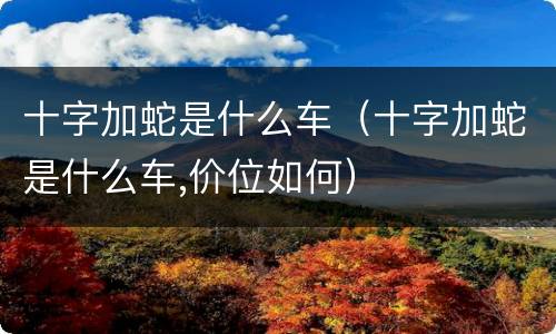 十字加蛇是什么车（十字加蛇是什么车,价位如何）