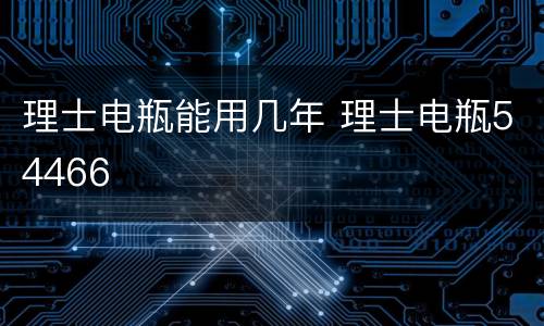 理士电瓶能用几年 理士电瓶54466