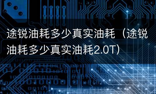 途锐油耗多少真实油耗（途锐油耗多少真实油耗2.0T）