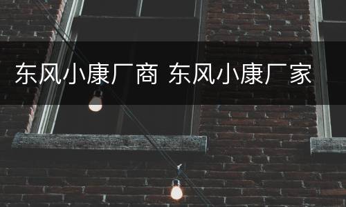 东风小康厂商 东风小康厂家