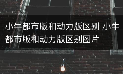 小牛都市版和动力版区别 小牛都市版和动力版区别图片