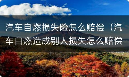 汽车自燃损失险怎么赔偿（汽车自燃造成别人损失怎么赔偿）