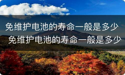 免维护电池的寿命一般是多少 免维护电池的寿命一般是多少公里