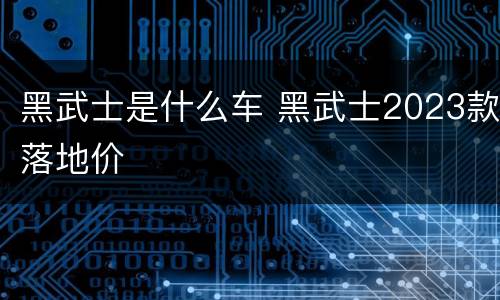 黑武士是什么车 黑武士2023款落地价