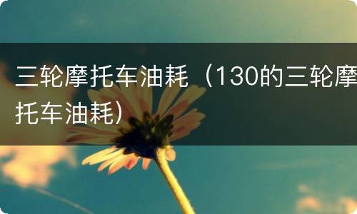 三轮摩托车油耗（130的三轮摩托车油耗）