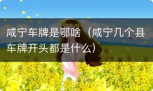 咸宁车牌是鄂啥（咸宁几个县车牌开头都是什么）