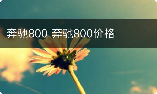 奔驰800 奔驰800价格