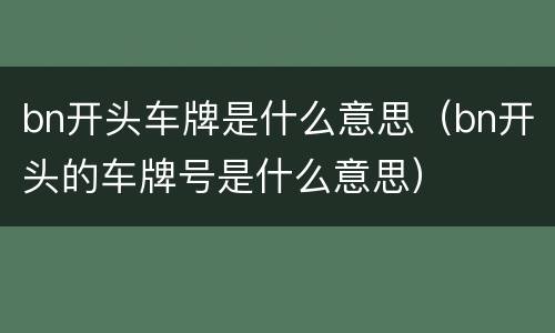 bn开头车牌是什么意思（bn开头的车牌号是什么意思）