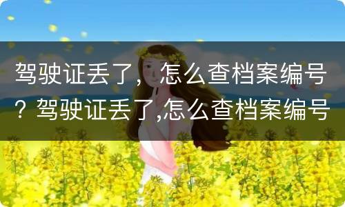 驾驶证丢了，怎么查档案编号? 驾驶证丢了,怎么查档案编号信息