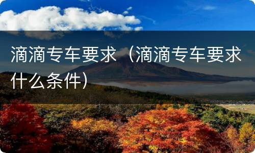 滴滴专车要求（滴滴专车要求什么条件）