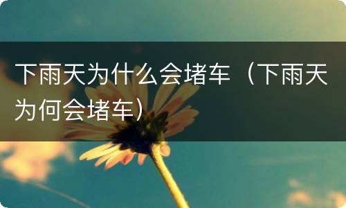 下雨天为什么会堵车（下雨天为何会堵车）