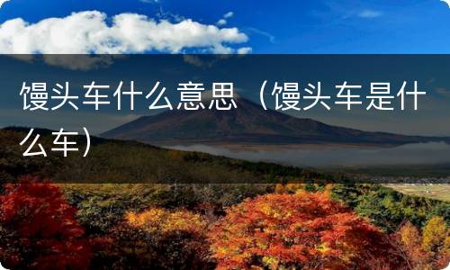 馒头车什么意思（馒头车是什么车）