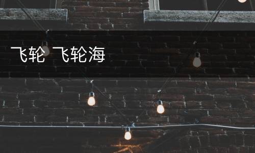 飞轮 飞轮海