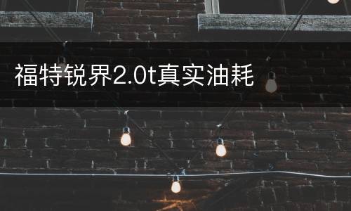 福特锐界2.0t真实油耗