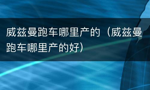 威兹曼跑车哪里产的（威兹曼跑车哪里产的好）