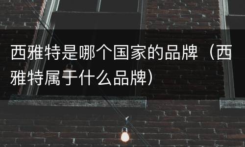 西雅特是哪个国家的品牌（西雅特属于什么品牌）