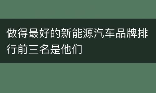 做得最好的新能源汽车品牌排行前三名是他们