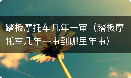 踏板摩托车几年一审（踏板摩托车几年一审到哪里年审）