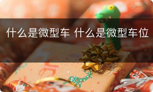 什么是微型车 什么是微型车位