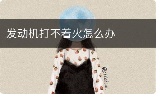 发动机打不着火怎么办