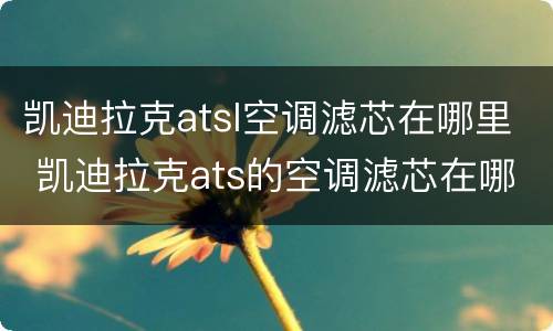 凯迪拉克atsl空调滤芯在哪里 凯迪拉克ats的空调滤芯在哪里