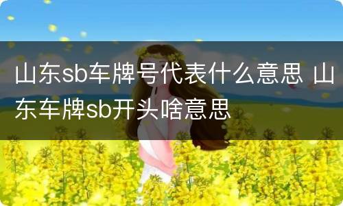 山东sb车牌号代表什么意思 山东车牌sb开头啥意思