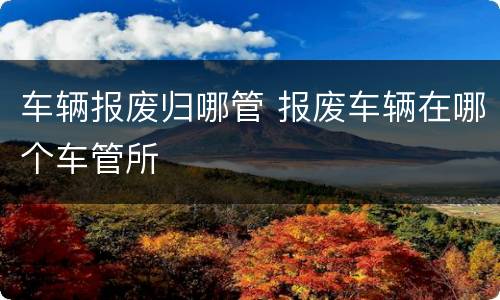 车辆报废归哪管 报废车辆在哪个车管所