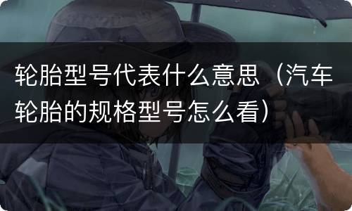 轮胎型号代表什么意思（汽车轮胎的规格型号怎么看）
