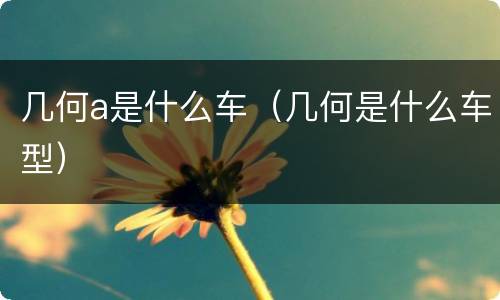 几何a是什么车（几何是什么车型）