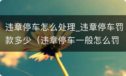 违章停车怎么处理_违章停车罚款多少（违章停车一般怎么罚款）