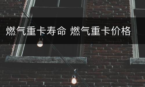 燃气重卡寿命 燃气重卡价格
