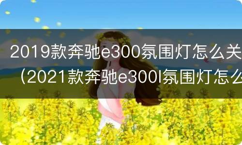 2019款奔驰e300氛围灯怎么关（2021款奔驰e300l氛围灯怎么调）