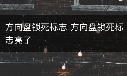 方向盘锁死标志 方向盘锁死标志亮了