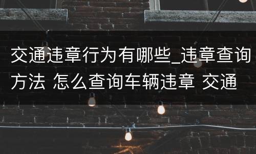 交通违章行为有哪些_违章查询方法 怎么查询车辆违章 交通违章