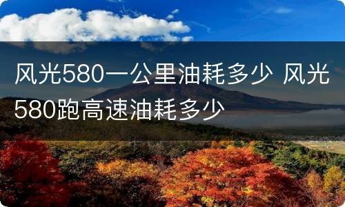 风光580一公里油耗多少 风光580跑高速油耗多少