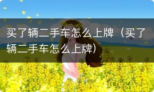 买了辆二手车怎么上牌（买了辆二手车怎么上牌）