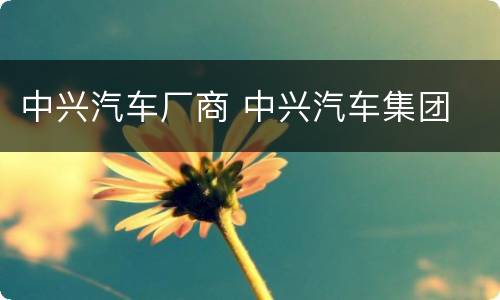 中兴汽车厂商 中兴汽车集团
